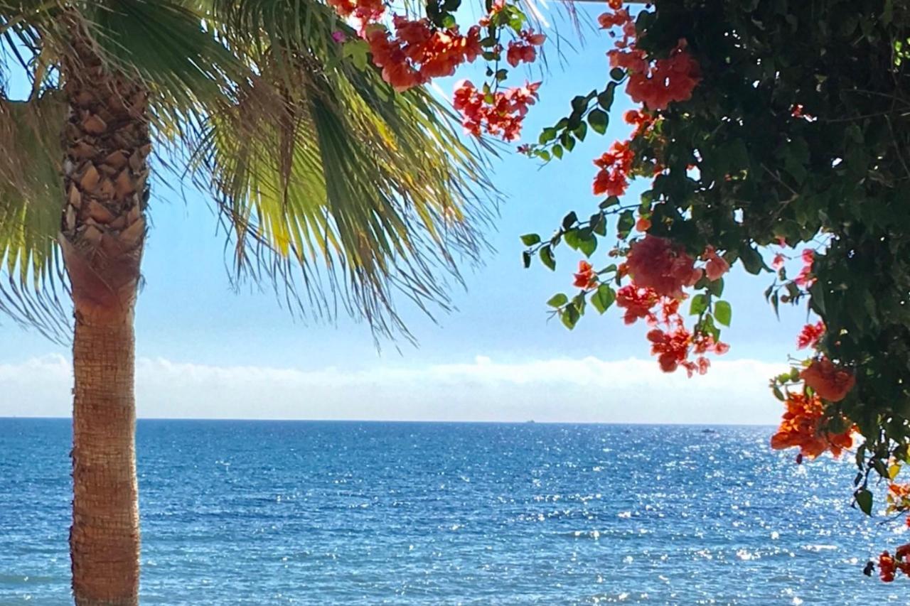Marbella - Alicate Beachfront Apartment-9 المظهر الخارجي الصورة